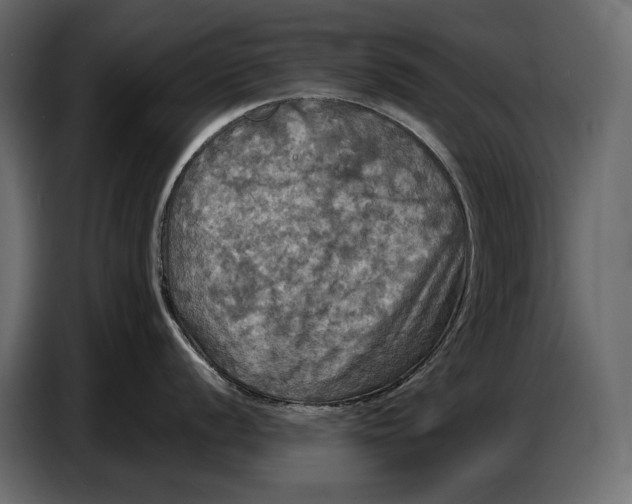 X0000087011056200705071522