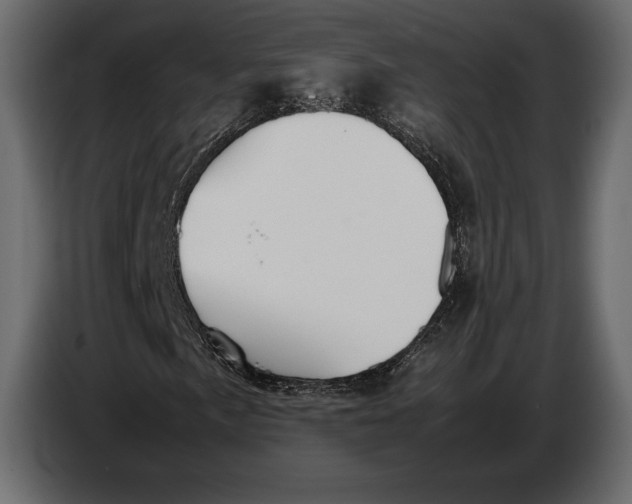 X0000087011057200705071521