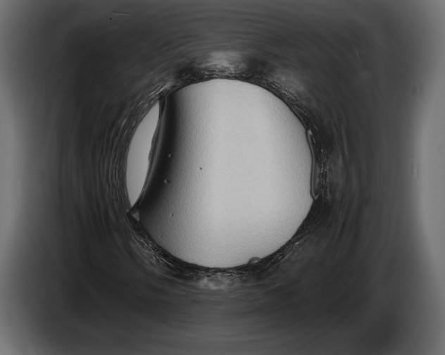 X0000087011058200705071521