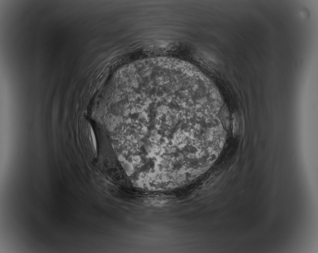 X0000087011059200705071521