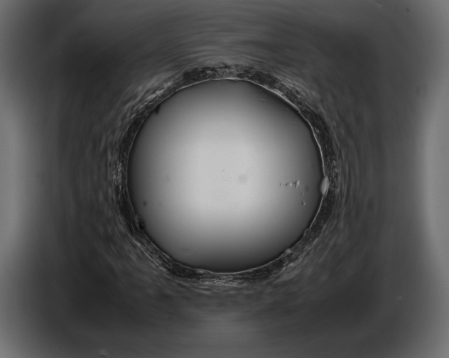 X0000087011061200705071521