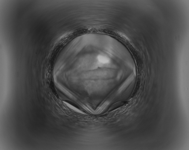 X0000087011063200705071521