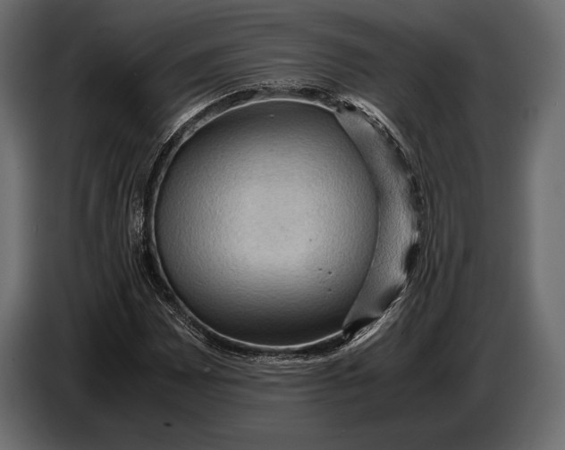 X0000087011065200705071521