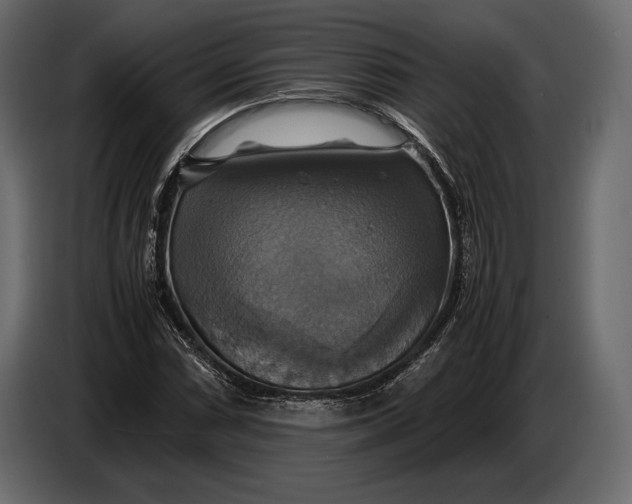 X0000087011066200705071521