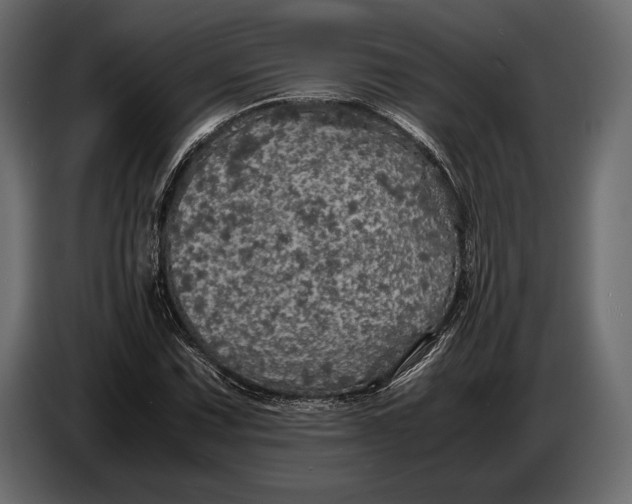 X0000087011067200705071521