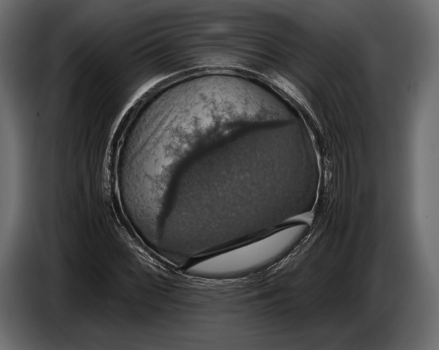 X0000087011068200705071521