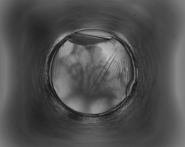 X0000087011071200705071521