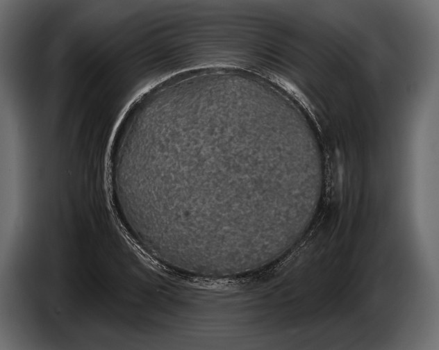 X0000087011072200705071521