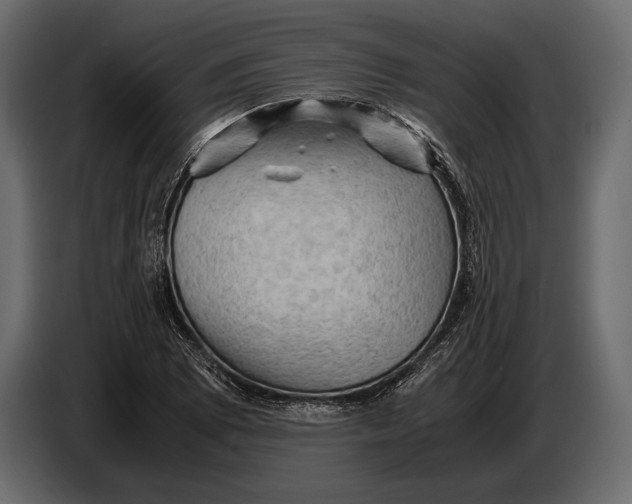 X0000087011073200705071521