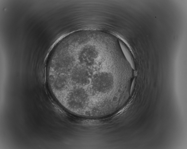 X0000087011075200705071521