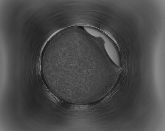 X0000087011076200705071521