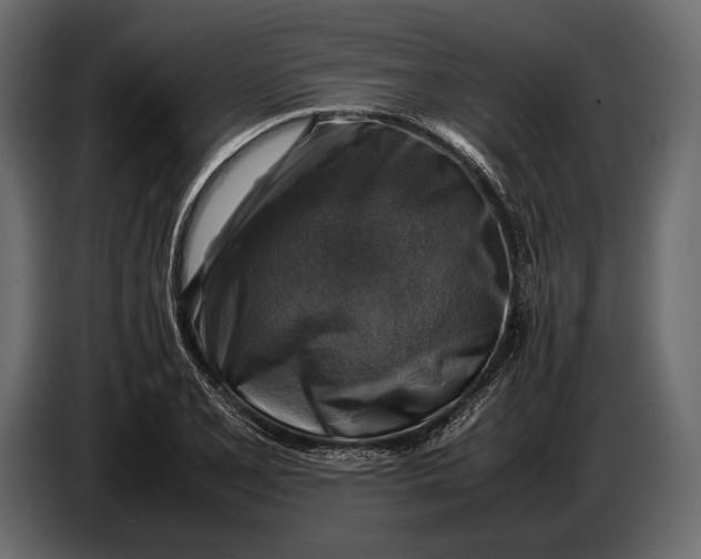 X0000087011077200705071521