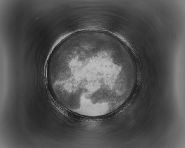 X0000087011078200705071521