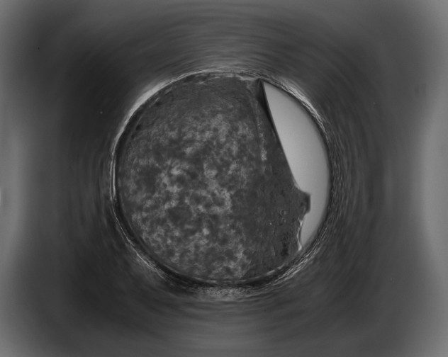 X0000087011079200705071521