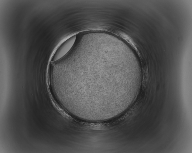 X0000087011080200705071521