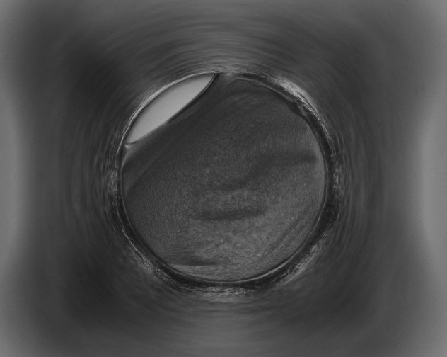 X0000087011081200705071521