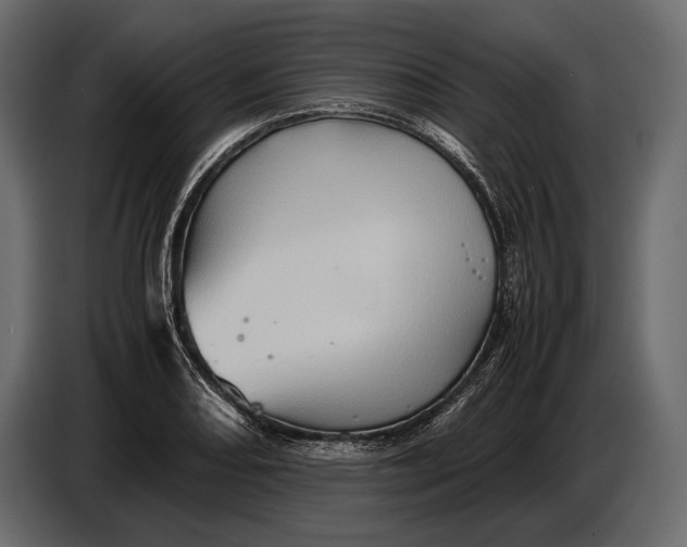 X0000087011082200705071521