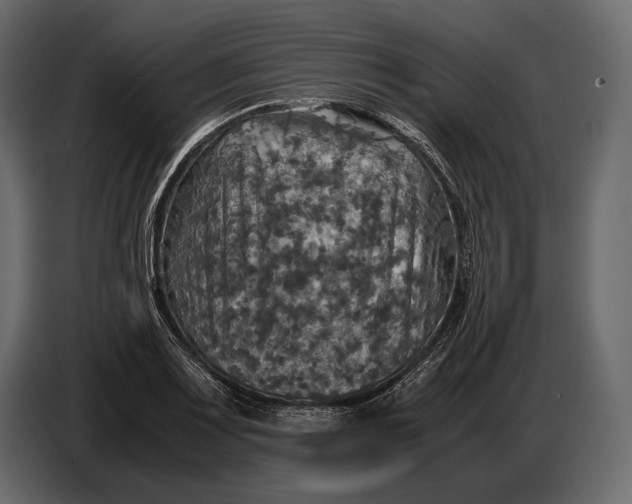 X0000087011083200705071521