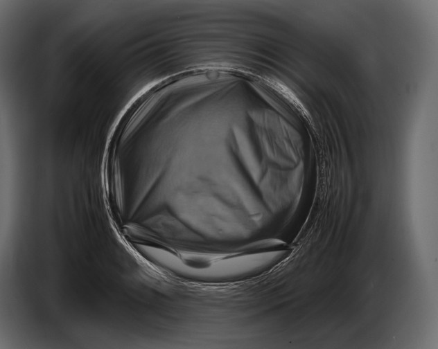 X0000087011084200705071521