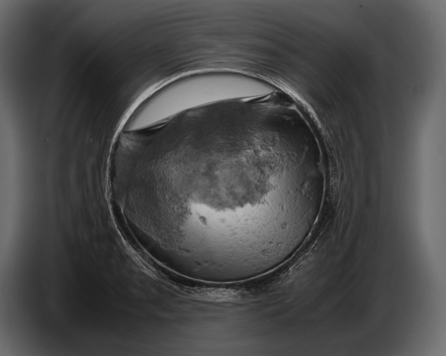 X0000087011085200705071521