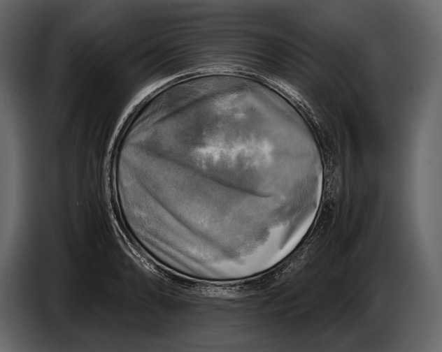 X0000087011086200705071521