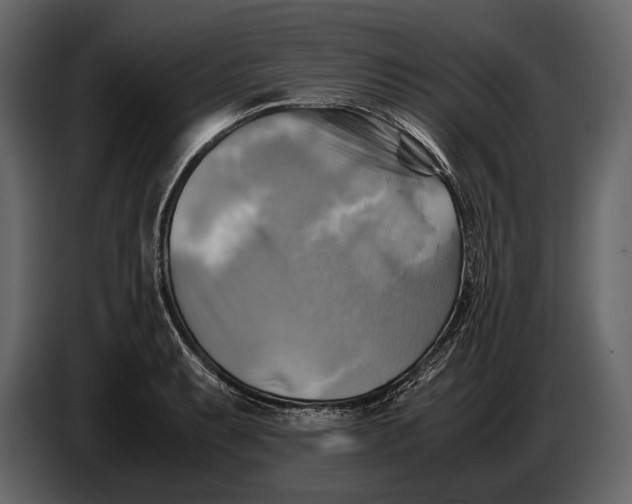 X0000087011087200705071521