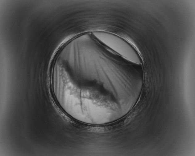 X0000087011088200705071521