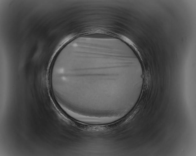 X0000087011090200705071521