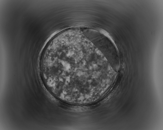 X0000087011091200705071521