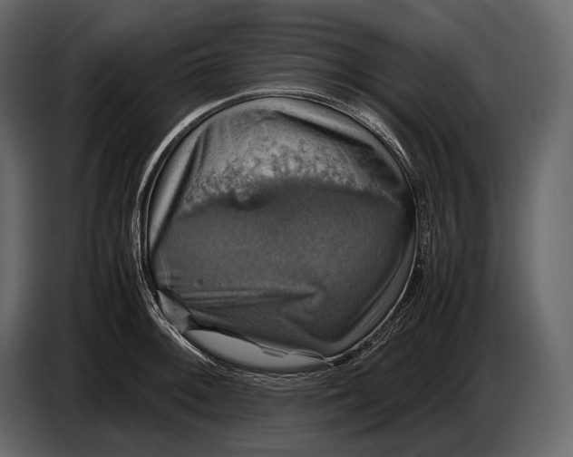 X0000087011092200705071521