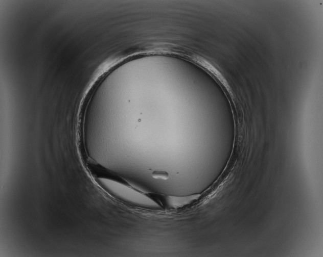 X0000087011093200705071521