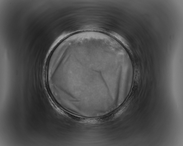 X0000087011094200705071521