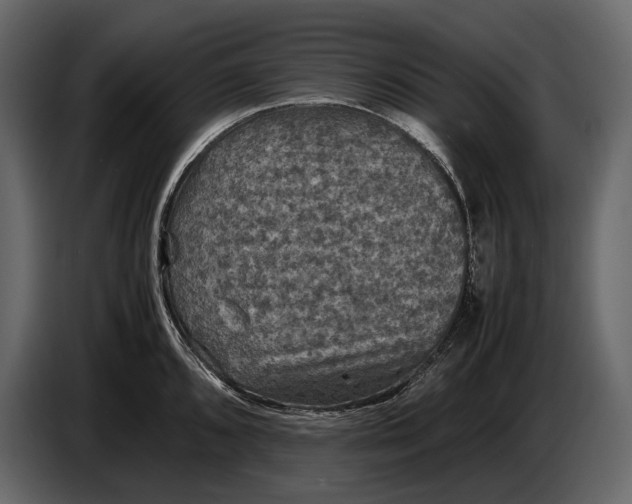 X0000087011096200705071521