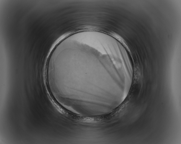 X0000087011098200705071521