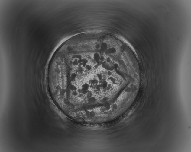 X0000087011099200705071521