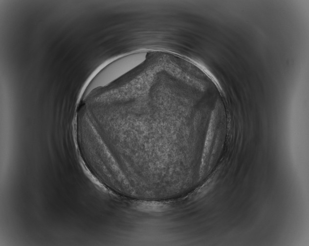 X0000087011100200705071521