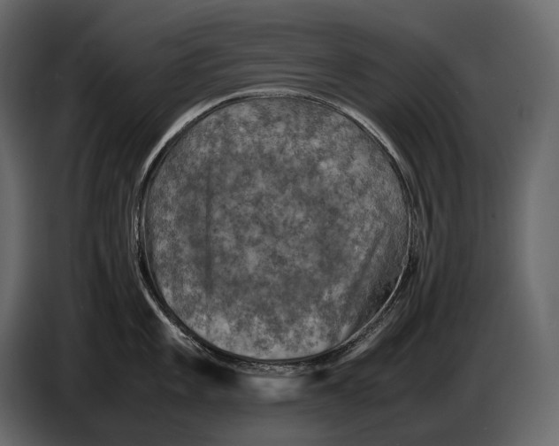 X0000087011101200705071521