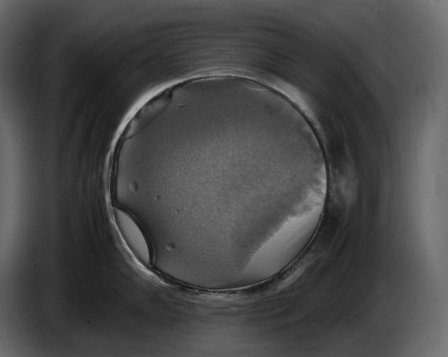 X0000087011102200705071521