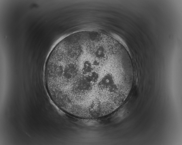 X0000087011103200705071521