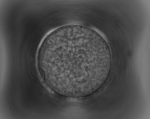 X0000087011104200705071521