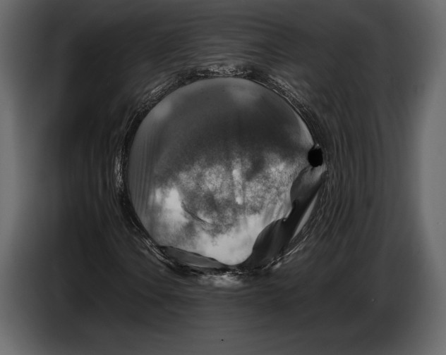 X0000087011106200705071520