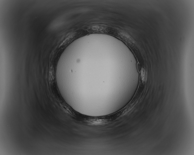 X0000087011107200705071520