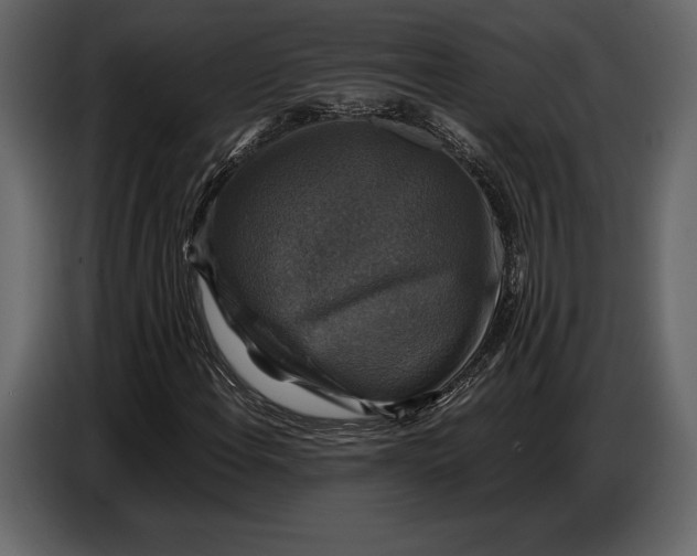 X0000087011108200705071520