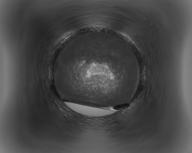 X0000087011110200705071520