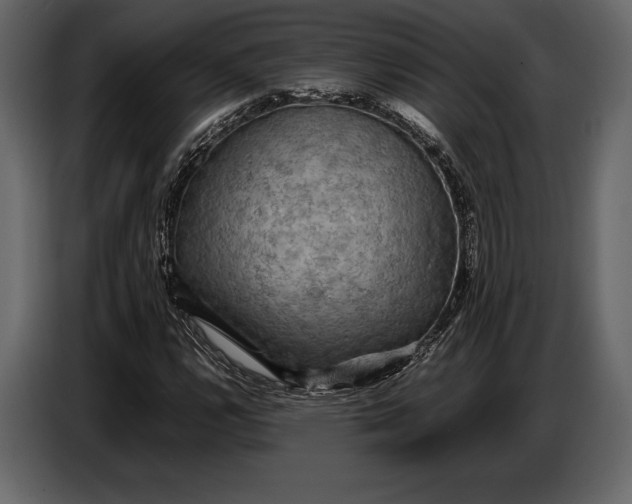 X0000087011112200705071520