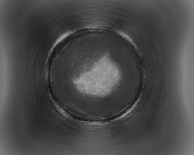 X0000087011114200705071520