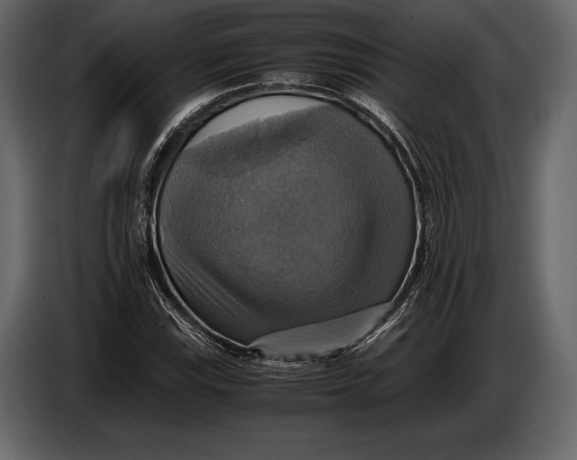 X0000087011115200705071520