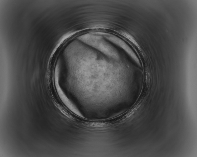 X0000087011116200705071520