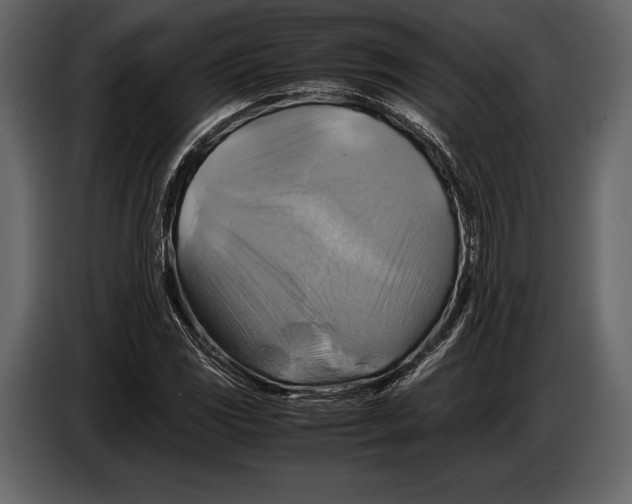 X0000087011117200705071520