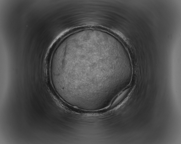 X0000087011118200705071520